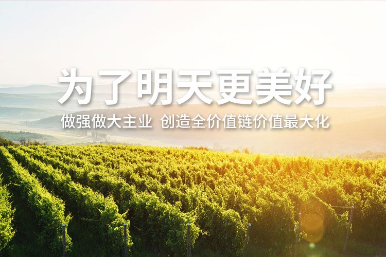 12BETҼ��������