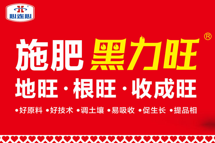 12BETҼ��������