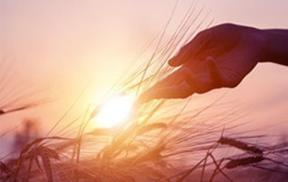 12BETҼ��������