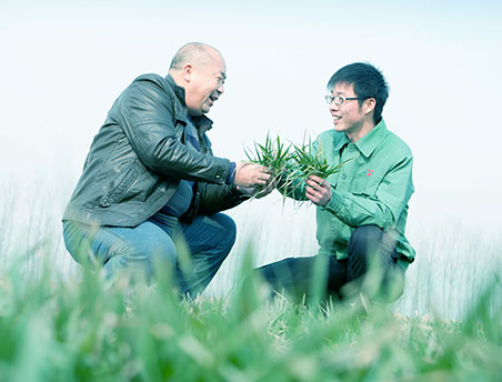 12BETҼ��������