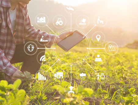 12BETҼ��������