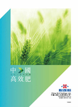 12BETҼ��������