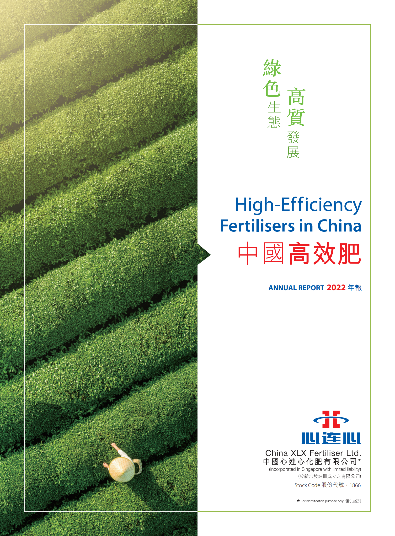 12BETҼ��������