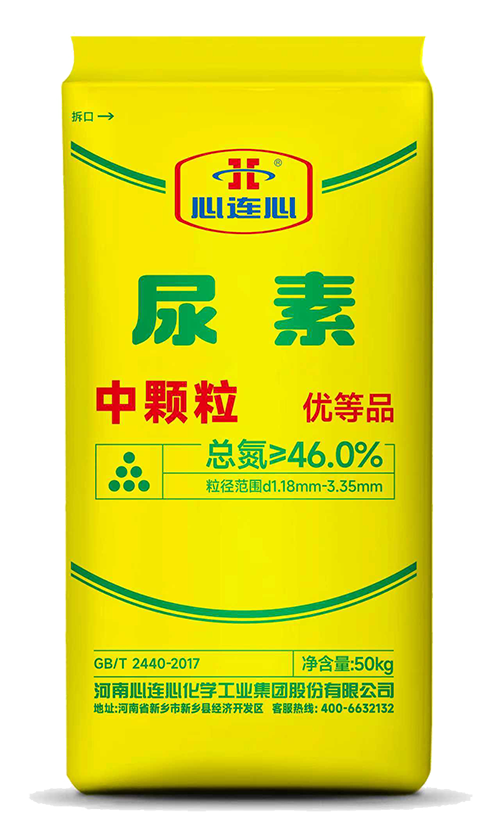 12BETҼ��������