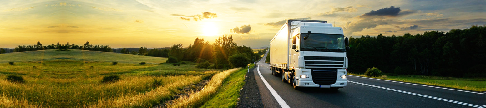 12BETҼ��������