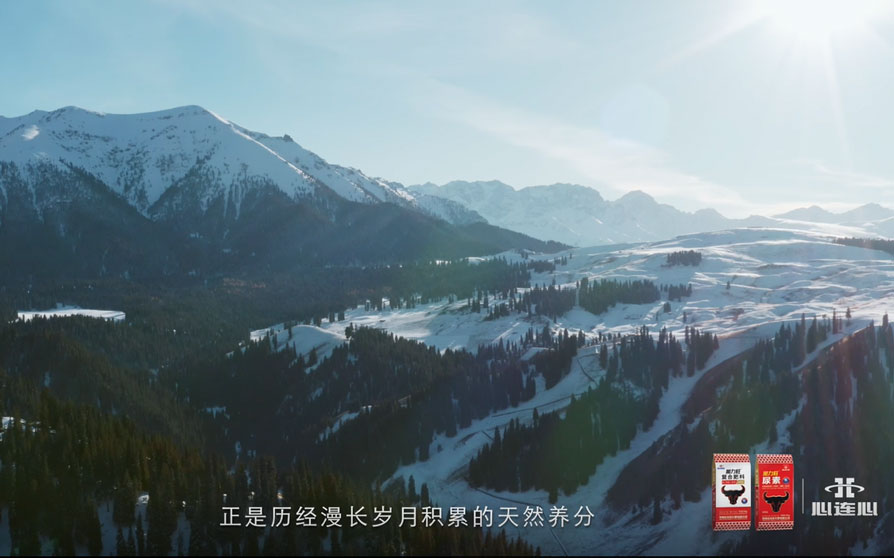 12BETҼ��������