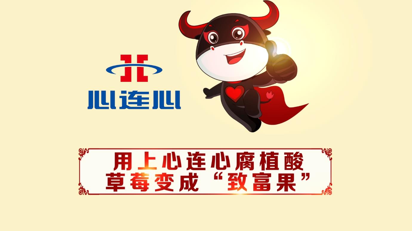 12BETҼ��������